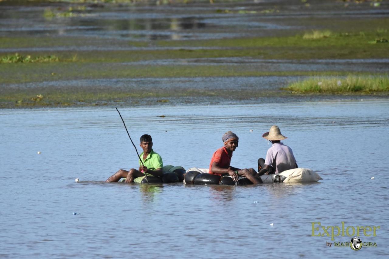 Explorer By Eco Team - Wasgamuwa National Park Exterior photo